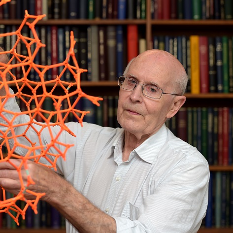 Professor Richard Robson FRS