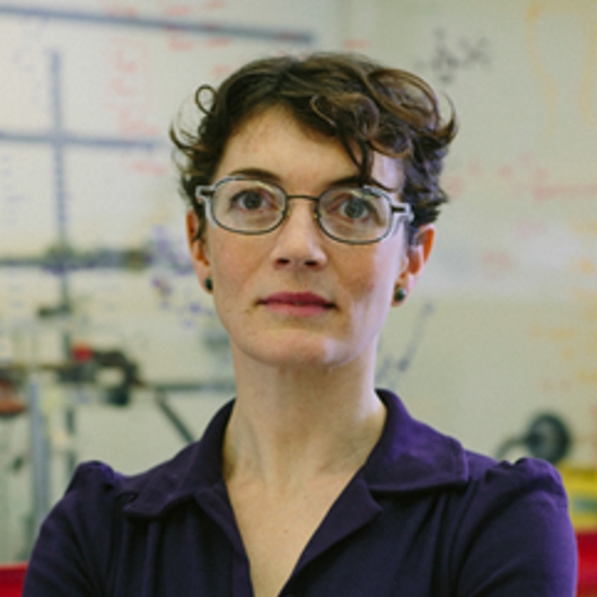 Professor Polly Arnold OBE FRS