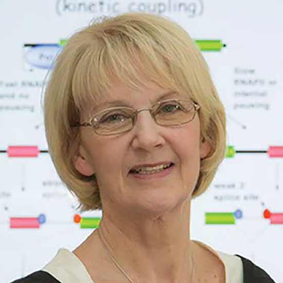 Professor Jean Beggs CBE FRS