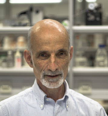 Professor Jonathan Ashmore FMedSci FRS
