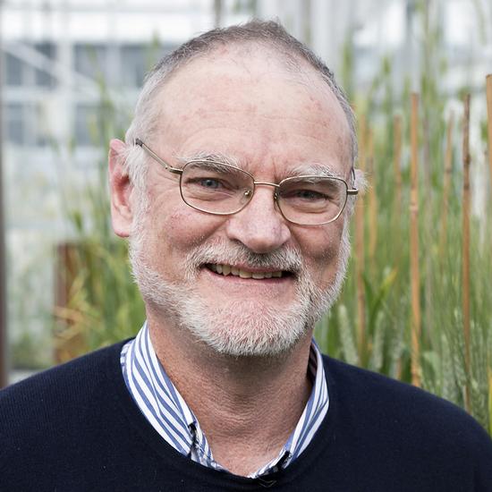 Professor Michael Bevan OBE FRS