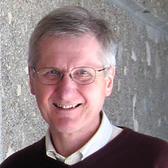 Professor Derek Briggs FRS
