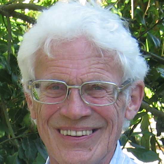 Professor David Clarke FREng FRS