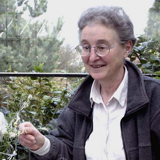 Professor Deborah Charlesworth FRS