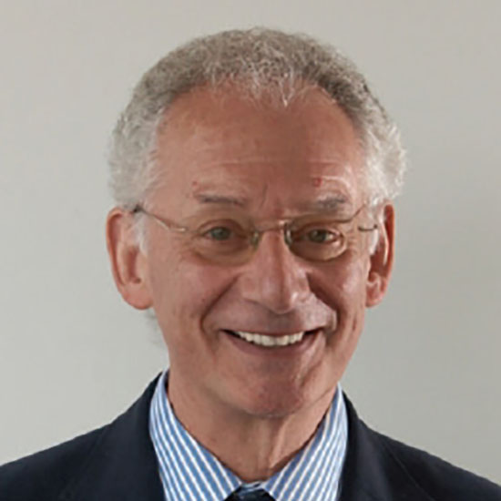 Professor Raymond Dwek CBE FRS