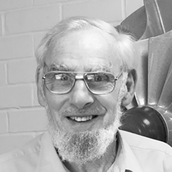 Professor John Denton FREng FRS