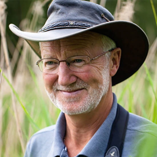 Professor Nicholas Davies FRS