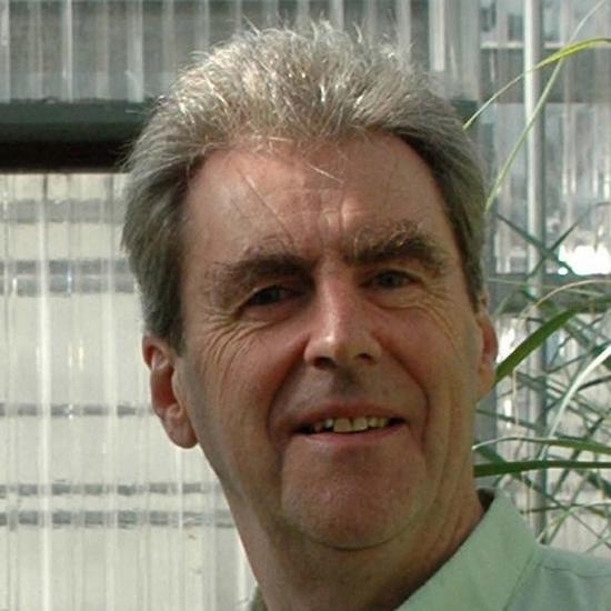 Professor Richard Flavell CBE FRS