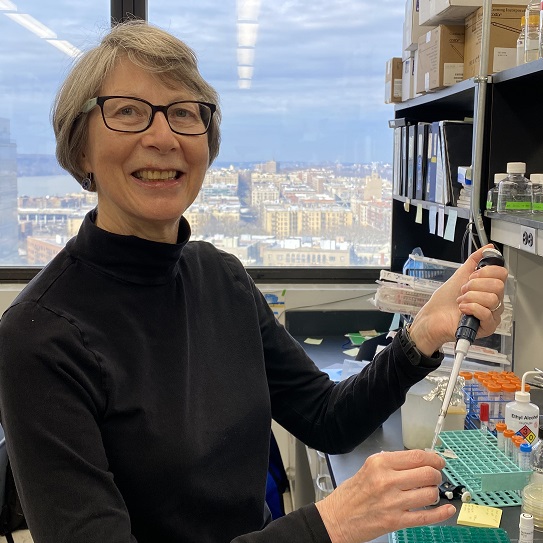 Professor Lorraine Symington FRS