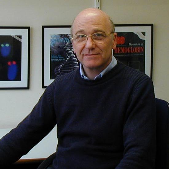 Professor Doug Higgs FMedSci FRS