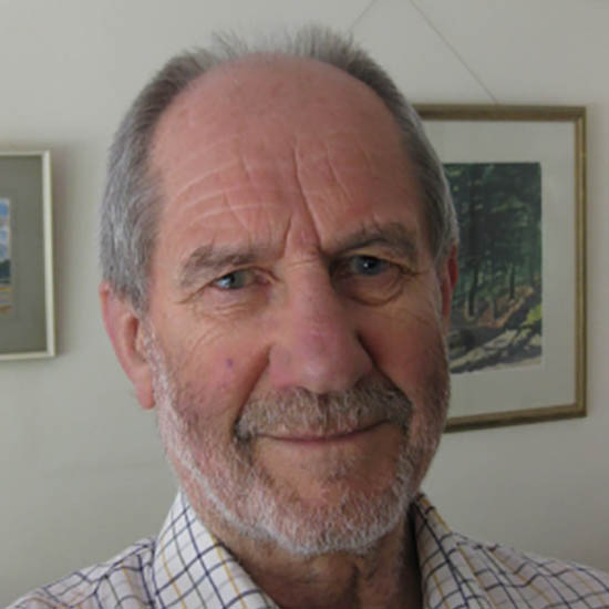 Professor David Hanna FRS