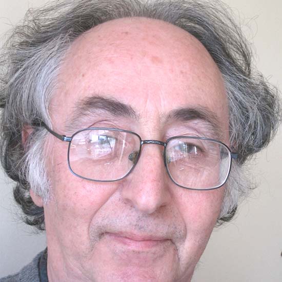 Professor Brian Josephson FRS