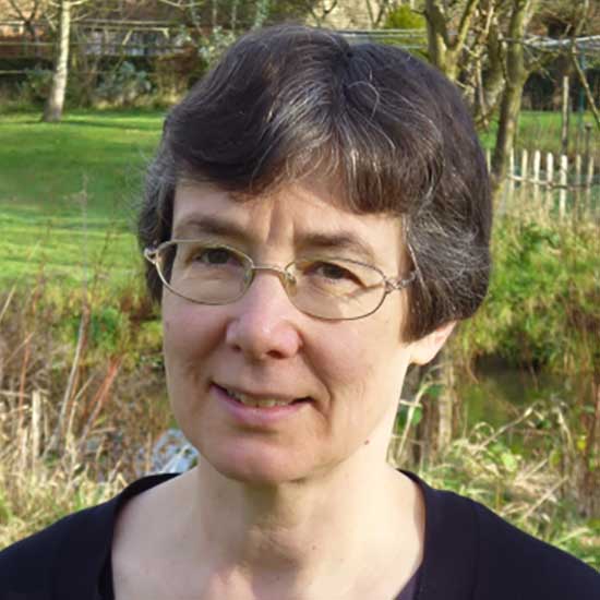 Professor Frances Kirwan DBE FRS