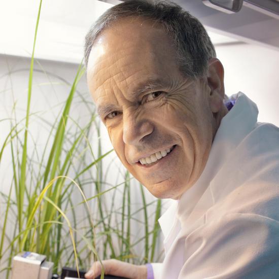 Professor Stephen Long FRS