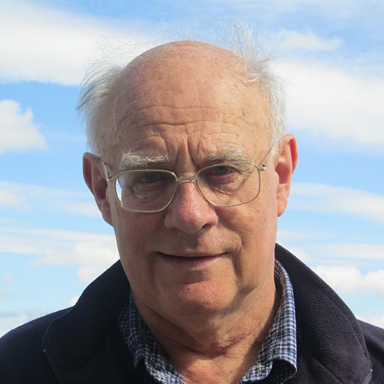 Professor Angus MacIntyre FRS