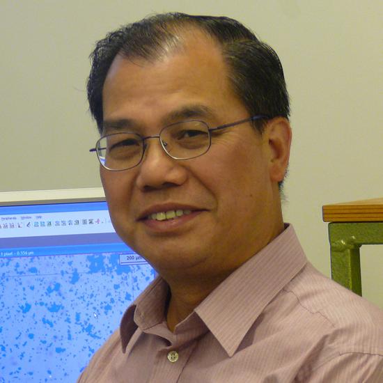 Professor Yiu-Wing Mai AM FRS