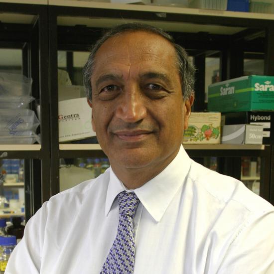Sir Ravinder Maini FMedSci FRS