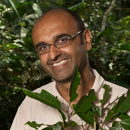 Professor Yadvinder Malhi CBE FRS