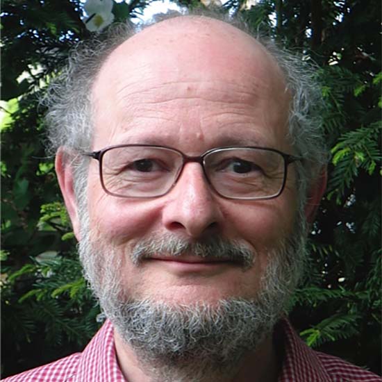 Professor Nicholas Manton FRS