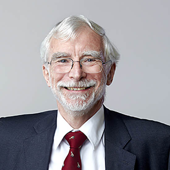 Professor Timothy Pedley FRS
