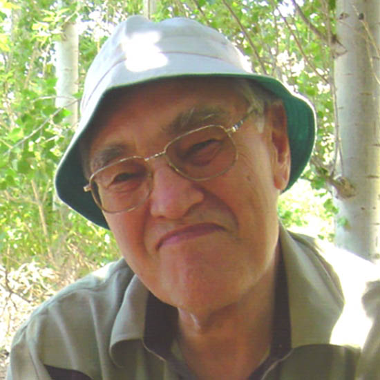 Professor Roy Pike FRS