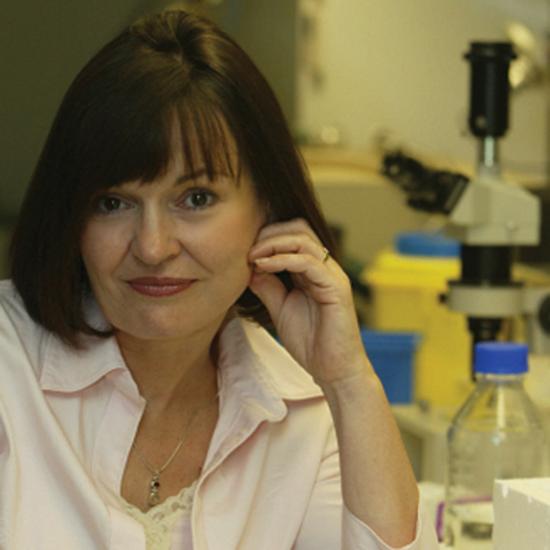 Dame Carol Robinson DBE FMedSci FRS