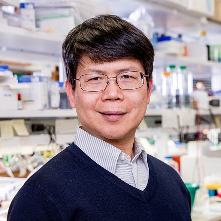 Professor Zhijian 'James' Chen FRS