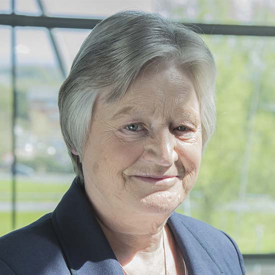 Professor Dame Julia Slingo DBE FRS