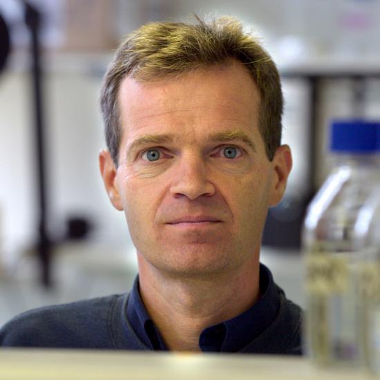 Professor Austin Smith FRS