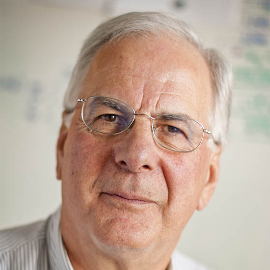 Professor Brian Sykes FRS