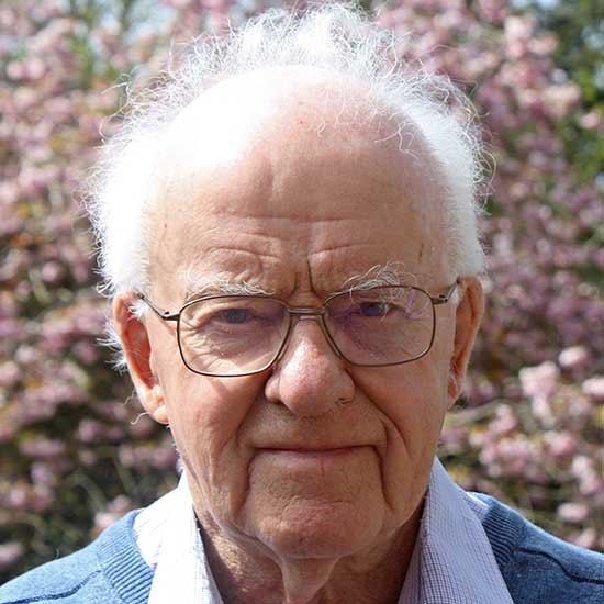 Professor Joe Vinen FRS