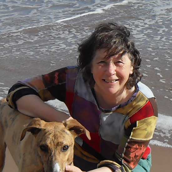 Professor Cheryll Tickle CBE FMedSci FRS