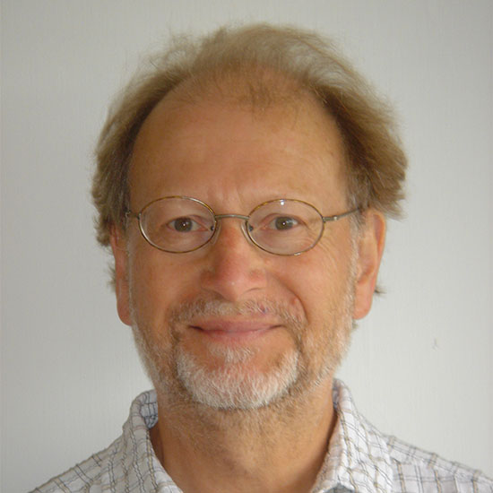 Professor Bryan Webber FRS