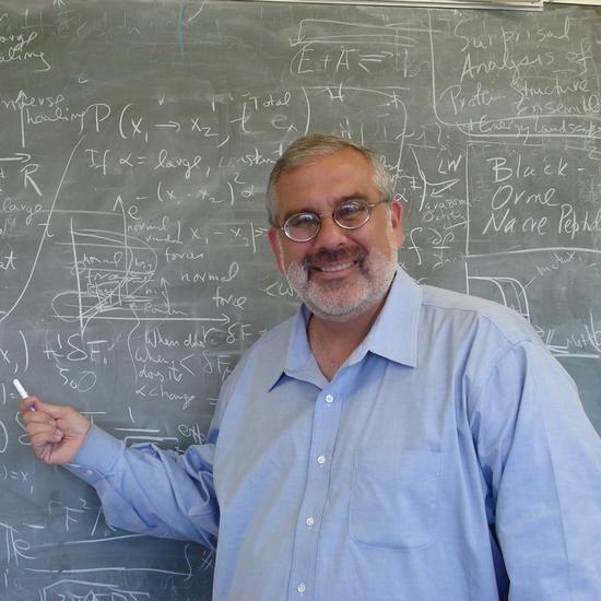Professor Peter Wolynes FRS