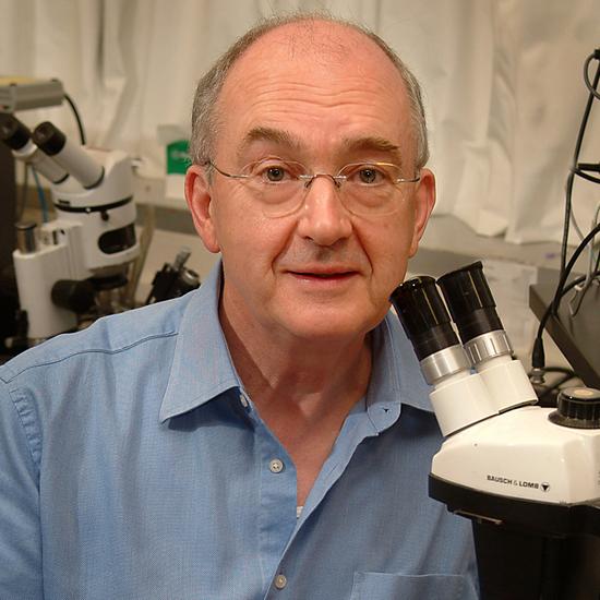 Professor Ernest Wright FRS