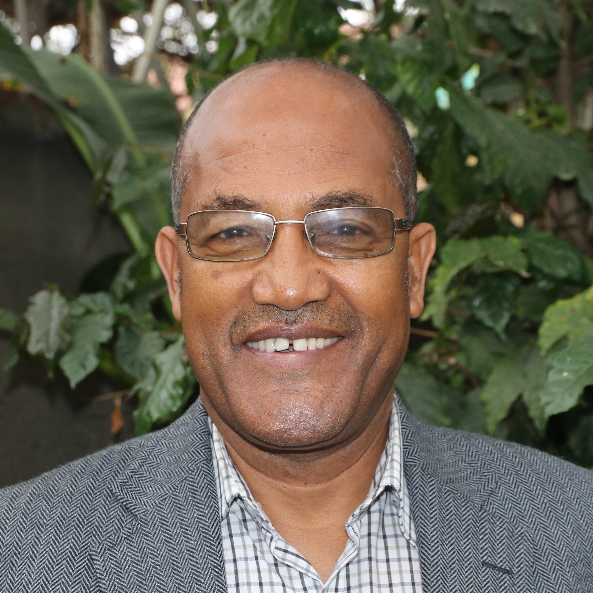 Professor Sebsebe Demissew FRS
