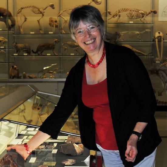 Professor Jennifer Clack FRS