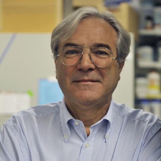 Dr Brian Hemmings FRS