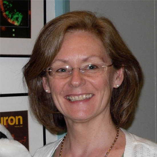 Professor Christine Holt CBE FMedSci FRS