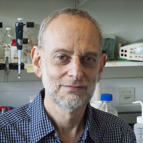 Professor Alan Lehmann CBE FMedSci FRS