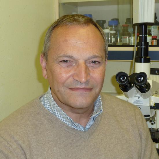 Professor John Parkes FRS