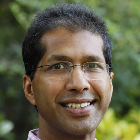 Professor Varinder Aggarwal FRS