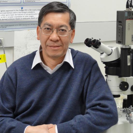 Professor Patrick Tam FRS
