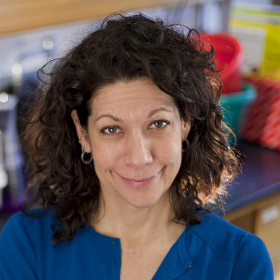 Professor Bonnie Bassler FRS