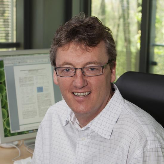 Professor David MacMillan FRS