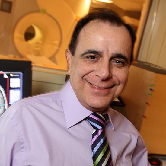 Professor Michael Petrides FRS