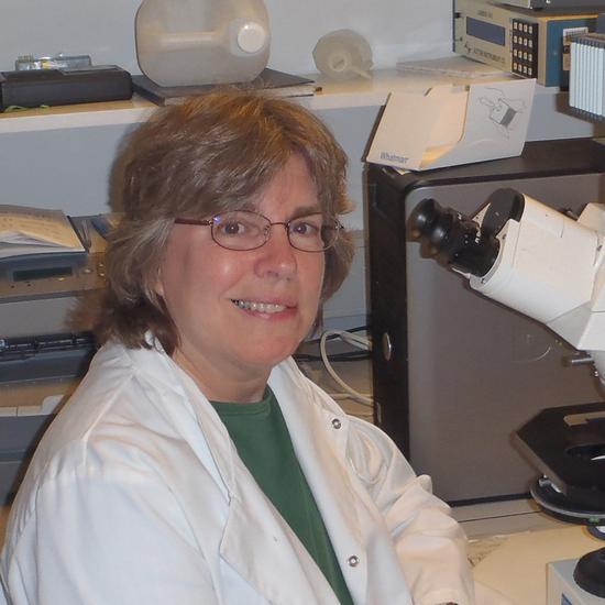 Professor Margaret Robinson FMedSci FRS