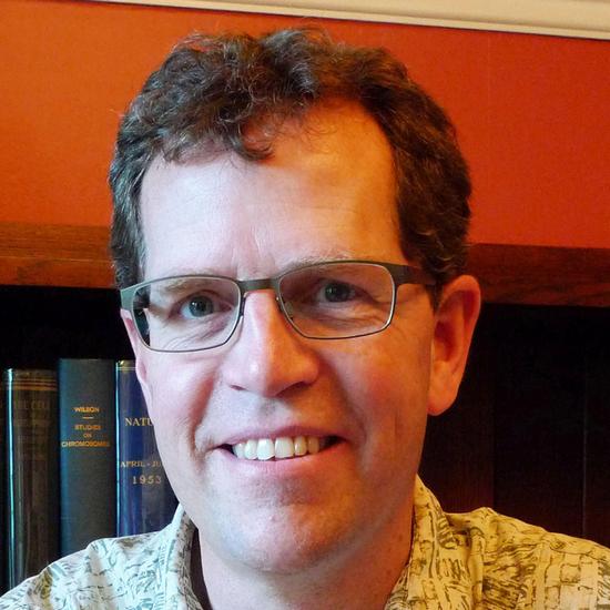 Professor David Morgan FRS