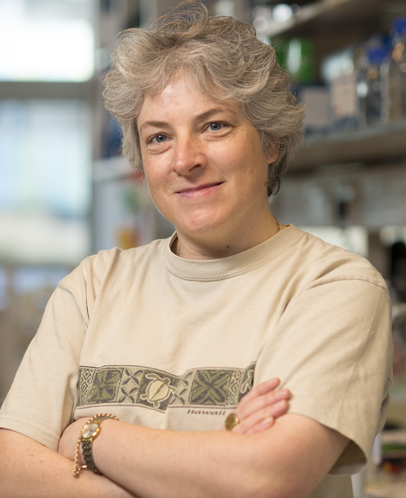 Professor Judy Hirst FMedSci FRS