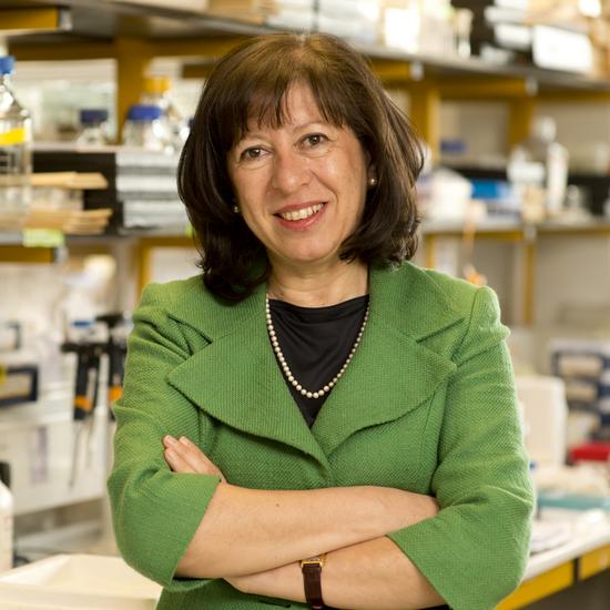Professor Maria Grazia Spillantini FMedSci FRS